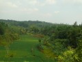 Tn P1030695